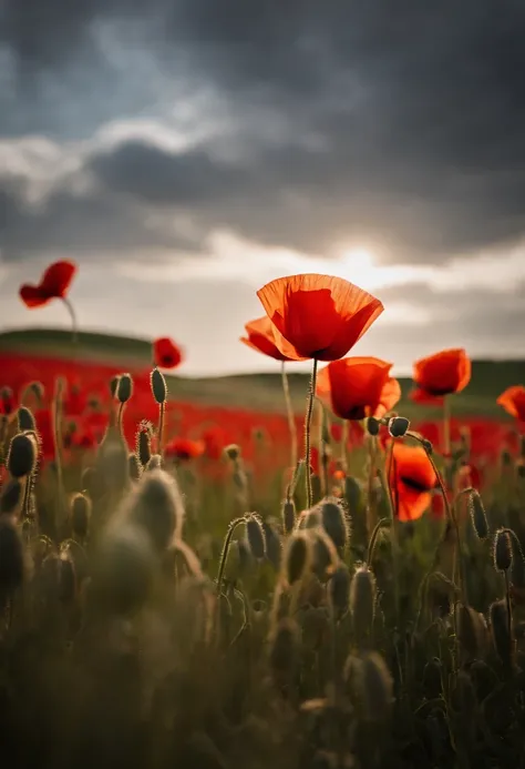 In Flanders fields the poppies blow
Between the crosses, row on row,
    That mark our place; and in the sky
    The larks, still bravely singing, fly
Scarce heard amid the guns below.

We are the Dead. Short days ago
We lived, felt dawn, saw sunset glow,
...