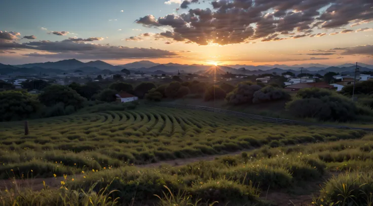 Plano de fundo agro, entardecer