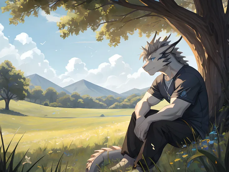 Masterpiece, Furry Gray Dragon, Muscular Body, Blue Eyes, Grey Medium Hair, Casual Set, Casual Clothes, Fierce, Good looking, Sad Expression, Sad Vibes, Sitting in Grass, Near Tree, Alone, Feeling the breeze wind, Afternoon, Field Background.