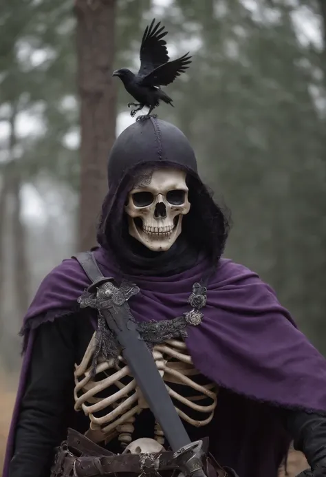 Skeleton, purple armor, sword, evil black crow,