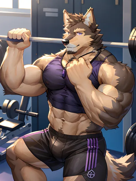 Solo, Purbaseer, Furry German Shepherd Dog, Brown Furs, Purple Eyes, Muscular, Handsome, Good Looking, Gym Set, Exercising, Hot, Gym Background