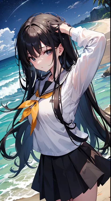 masterpiece,beautiful girl,black hair,long hair,black eyes,school wear,sea,sandy beach,night,starlight