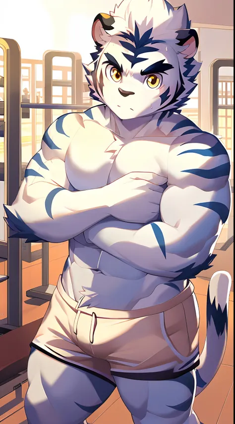 Hominidae, Pose for Camera. 4K, high resolution, Best quality, posted on e621, (Anthropomorphic white tiger:1.2), male people, 20yr old, Thick eyebrows, Light blue stripes, Ultra-short hair, shaggy, Strong body, large pecs, ((Shirtless)), Hes exercising, P...