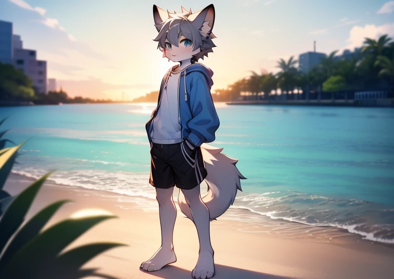 Libido boy，furry wolf，((Shota)), Gray hair, Very good figure, Handsome，adolable, Light：Extreme light and shadow, Reflective skin,Reddish skin，((Light blue sweatshirt，Casual shorts)) ，((Beachside，独奏，solo person))，Outdoor sunset，((the detail))，（depth of fiel...