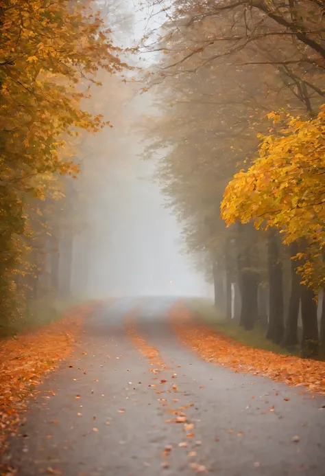 in einer nebligen Stadt, colorful autumn leaves on the street, ein Bild von Kuno Veeber, Gewinner des Pixabay-Wettbewerbs, Konzeptkunst, Im Regen , ((neblig)) und regnerisch,  Bild mit Schatten, in einer regnerischen Umgebung, Regenwetter, Rainy roads in t...