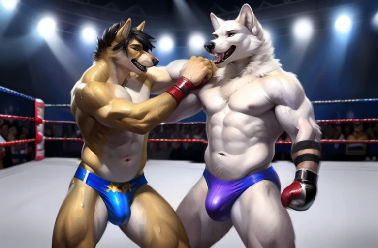 anthro white wolf with black hair on his head pro wrestler with (short black hair 1.2) , multiple wolf 4k, high resolution, best quality, posted on e621, (multiple characters:1), anthro body, male, adult, very masculine, (very muscular, 1.2), correct anato...