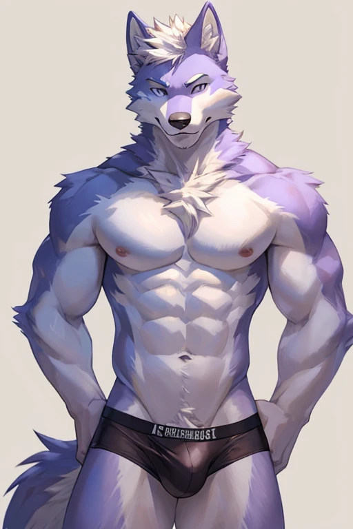 Furry, Anthro, Arctic Wolf with purple accents, Male, E621, Standing, lean, Wearing underwear, Plain background, Front view, Light fur, NSFW