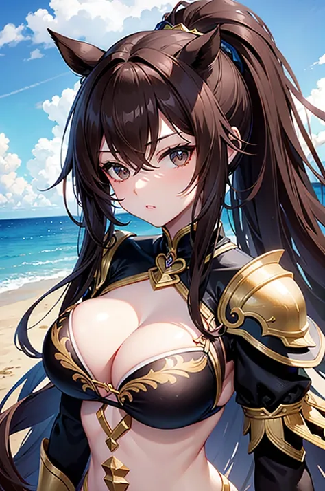 large hair, huge breast, thin waist, brown hair, black eyes , sexy, bikini armor, ((centaur girl)), ponytail, focus on upper body, portrait,