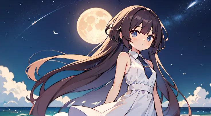 Adults　One Person　Top image quality　hight resolution　　A dark-haired　The long-haired　　natta　starrysky　fullmoon　Big Moon　White Dress　ocean　micro dress　Breasts are big　straight haired　Very long hair　Sleeveless　neck tie　a miniskirt　Upper Body Up