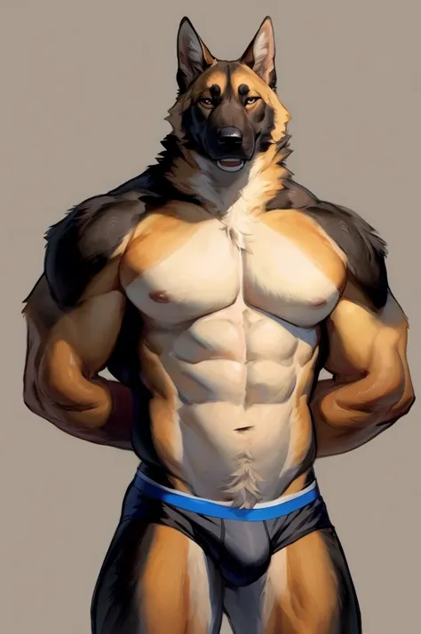 Solo, Furry, German Shepherd, Anthro, Male, E621, Standing, Muscular, Hands behind back, Wearing underwear, Plain background, Front view, Orange Fur, By bebebebebe