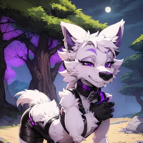 (masterpiece, best quality:1.1), (xnirox:1.2), 1male, lean, cute, wolf, White and Purple fur, (furry, anthro:1.1), , smile, solo, looking at viewer, purple eyes, collar, hand on hip, snout , outdoors, (night sky, midnight, dark and moody:1.05), trees, gras...