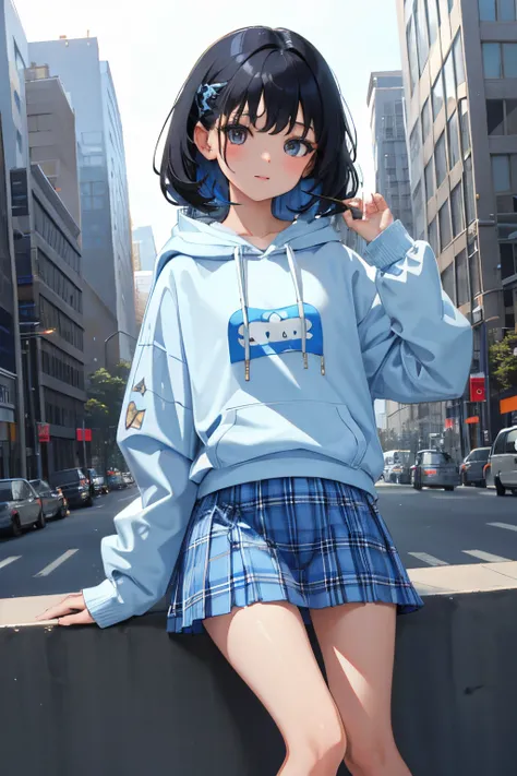 child，（​masterpiece，Highest Quality），Light blue sheer hoodie，plaid skirts，A dark-haired，Twin-tailed