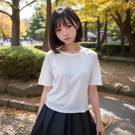 top-quality、超A high resolution、(Photorealsitic:1.4)、Raw photography、1 Japan Female、20yr old、独奏、cute little、detailed beautiful faces、(Shorthair)、a park、autumnal、skirt by the、Yoshiko Akishino