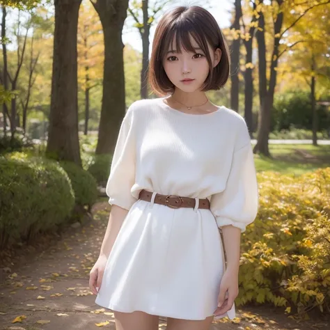 top-quality、超A high resolution、(Photorealsitic:1.4)、Raw photography、独奏、cute little、detailed beautiful faces、1womanl、24 year old、season、autumnal、a park、Shorthair、a miniskirt、posterior view、white  clothes