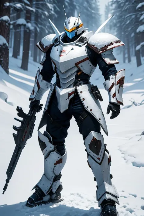 snow-inspired armored warrior