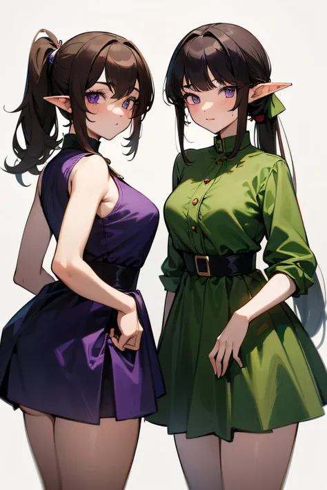 2girls, elf, same hair, identical twins, young adult, long dark brown hair, side ponytail, purple eyes, wearing matching plain green dress, simple silver jewelry, palace, absurdres, high res, ultrasharp, 8K, masterpiece, looking at viewer