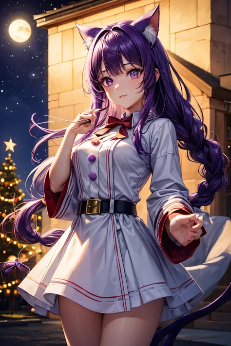 Top quality, high resolution, perfect human structure, background focus, front view, purple hair, glowing hair, cat ears, french braid, crazy eyes, Santa costume, tree, night sky