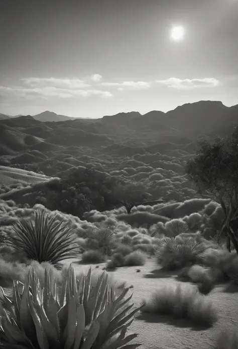 black and white animation background of the Brazilian northeastern hinterland with typical semi-arid vegetation with cacti, sun, heat, with a cartoon animal like a donkey, donkey, donkey, donkey in the dreamworks style, the sherek drawing donkey., small, C...