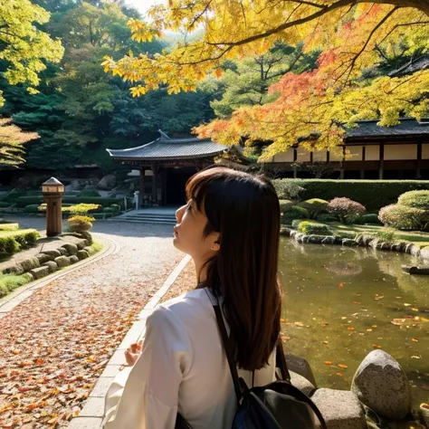 Colored leaves、momiji、kyoto、Rear view、