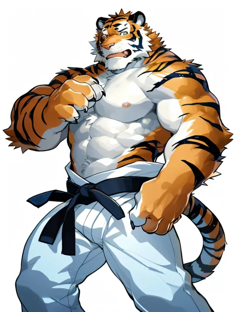 hi res,(tiger, finless tiger), anthro,4 fingers, white pants, karate black belt, male, muscular, muscular anthro, muscular male, tail, light blue body, solo, white background, by milkytiger1145, by takemoto arashi,by null-ghost, cold atmosphere, agresive f...