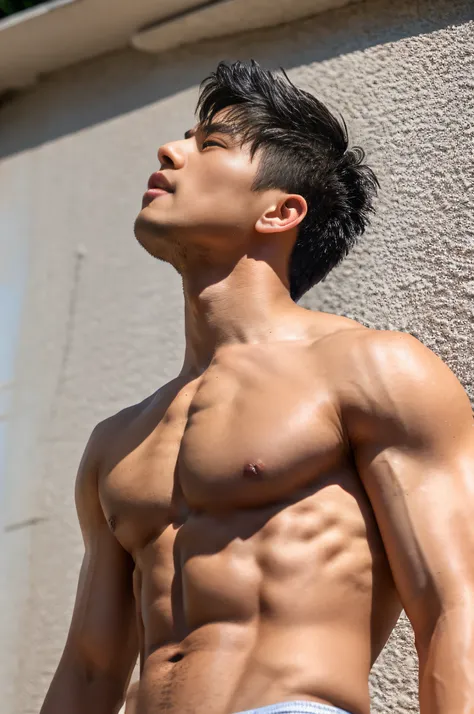 masterpiece, Best Quality, Solo, Asian Man, muscular body, big muscle, Natural eyes, short and delicate hair, Bright tanned skin, look up at viewer, toppless, Large protrusions, Bulge, sensual