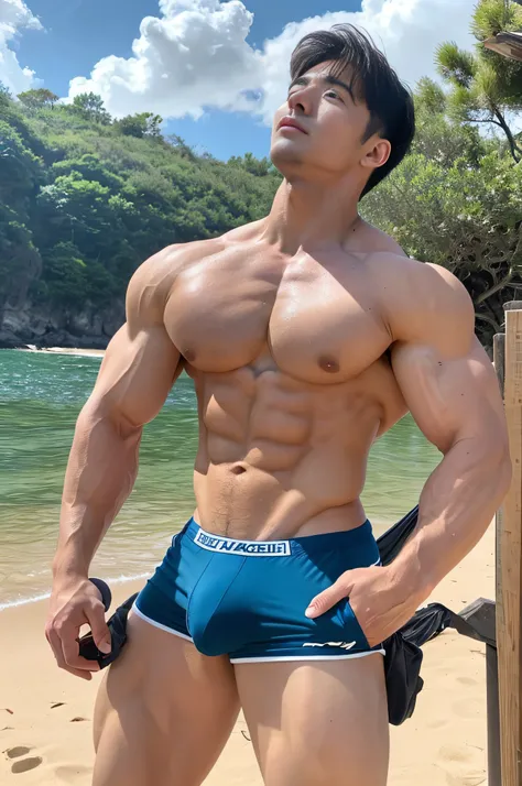 Masterpiece, Best Quality, Solo, Korean Men, beach baground, bodybuilder, Muscular body, big muscle, Natural eyes, Short and delicate hair, Sexy Man, looking up at viewer, mens underwear, Large protrusions, Erection, Muscular posture