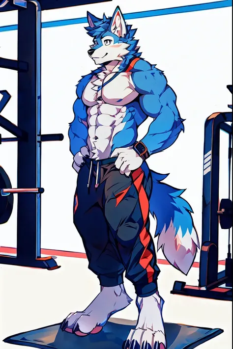 Human-wolf，Muscular，Full Body Furry，paws with claws，pass upright，Working out in a gym，The upper body is naked，Short sweatpants