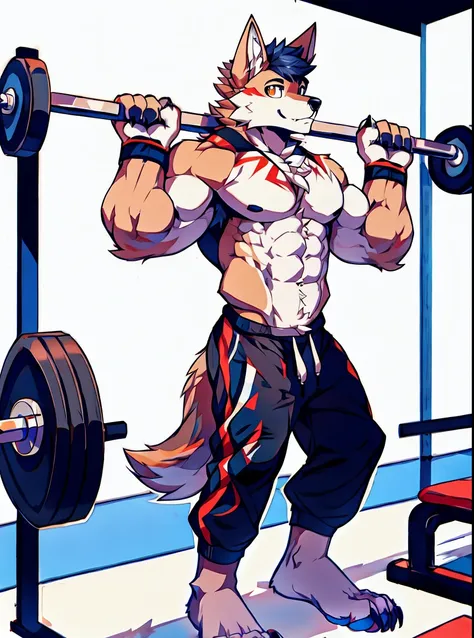 Human-wolf，Muscular，Full Body Furry，paws with claws，pass upright，Working out in a gym，The upper body is naked，Short sweatpants