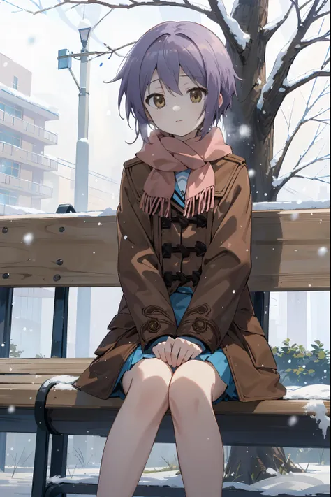 (masterpiece),(best quality), yuki, brown coat,  a scarf, knees, blank eyes, expressionless face, park, waiting, bench, snowing,...