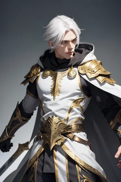 Male warrior,white hair,gold eye,grey and dark grey costume,gold cloak,white armor