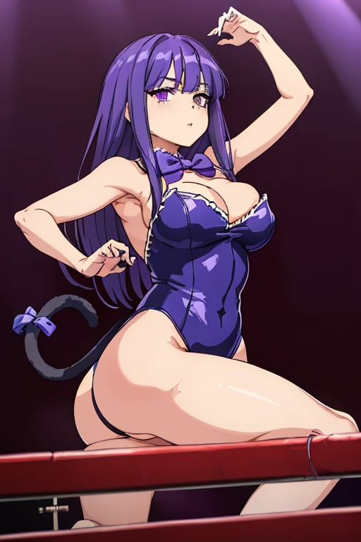 (masterpiece),best quality, frederica bernkastel, dress, tail bow, cat tail, bowtie, purple eyes, purple ((Tight leotard)), ((sexy pose)), ((Wrestling ring)), (Big tits), (Wide hips), looking at the viewer