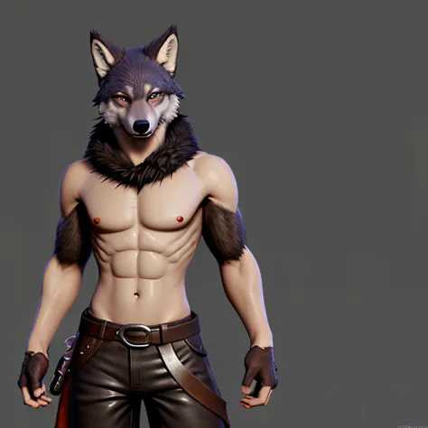 Solo, male anthro wolf, furry, kemono, ragnarok online, non player character