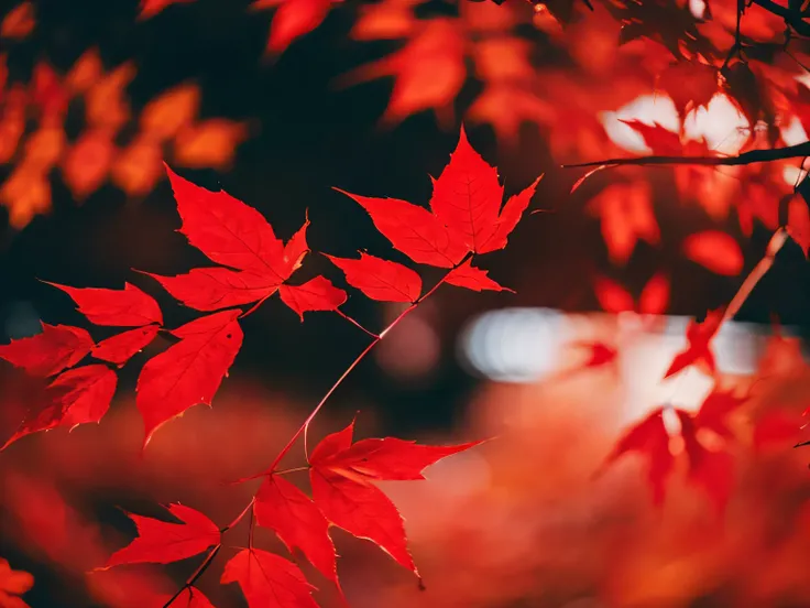 A few red leaves