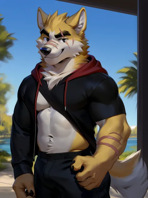 masterpiece, best quality, nj5furry,furry male, 1boy, furry, male focus, solo,animal ears, formal, wolf ears,wolf boy, smile ,
white fur, yellow fur, brown fur, two-tone fur,black eyes, black shirt, red hood, black hoodie,  thick eyebrows, tail, scar on ey...