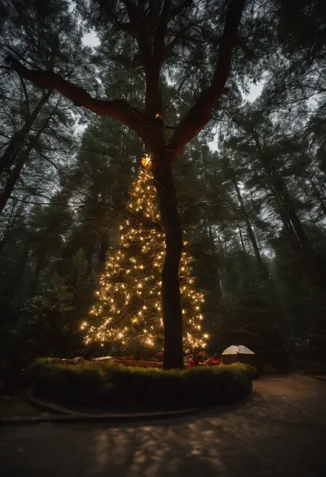 Site of large-scale environmental destruction where vast areas of forest have been cut down.、Installed a large number of solar panels、In the middle of that、A huge Christmas tree is placed and luxuriously decorated..、Is it a bulltozer?、Yumbo is placed、