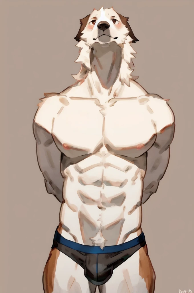 Solo, Furry, Anthro, Borzoi, Male, E621, Standing, Muscular, Hands behind back, Wearing underwear, Plain background, Front view, Light skin tone, By buta99