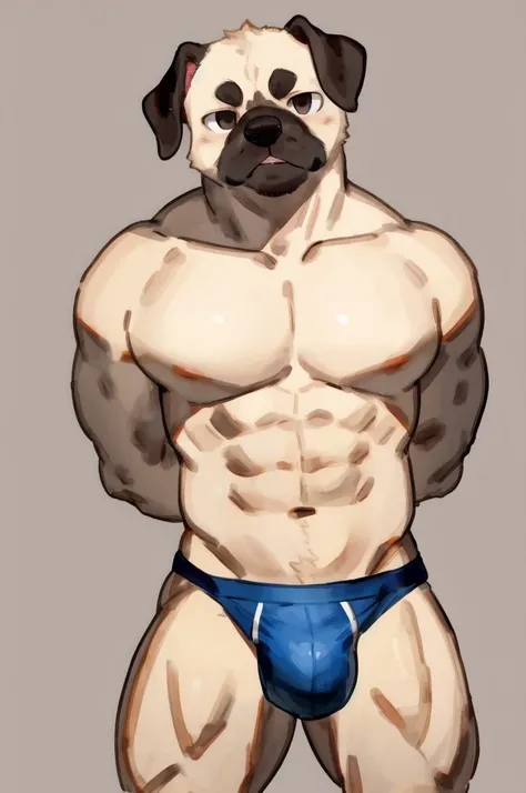 Solo, Furry, Anthro, Pug, Male, E621, Standing, Muscular, Hands behind back, Wearing underwear, Plain background, Front view, Light skin tone, By buta99