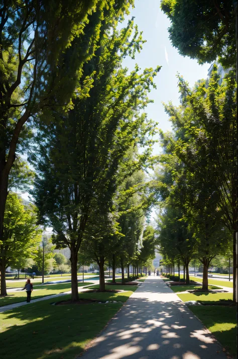 Park with a row of trees on the left and right but a path going straight down the middle. Beautifl scenery