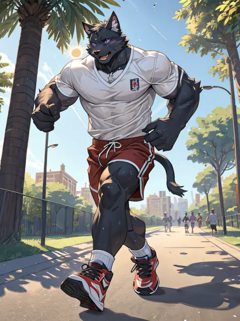 furry,bara,cats,masculine,All black feathers,purple eyes,No shirt..,He wore red and white striped shorts.,Wear running shoes.,muscular,Running in the park,The sun is about to set..,There are clear sweat stains on the body..