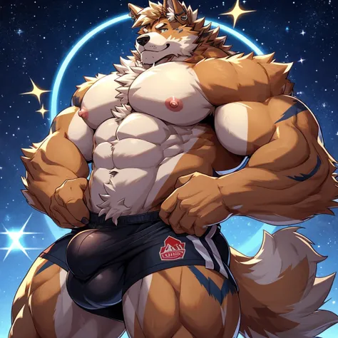 anthro, male,Australian shepherd, high-quality, no humans, muscular, fluffy hair style, simple art style, small sparkles, masculine, high detail hands, high quality background, star ear piercing, slight bulge, large puffy nipples, detailed canine sheath, d...