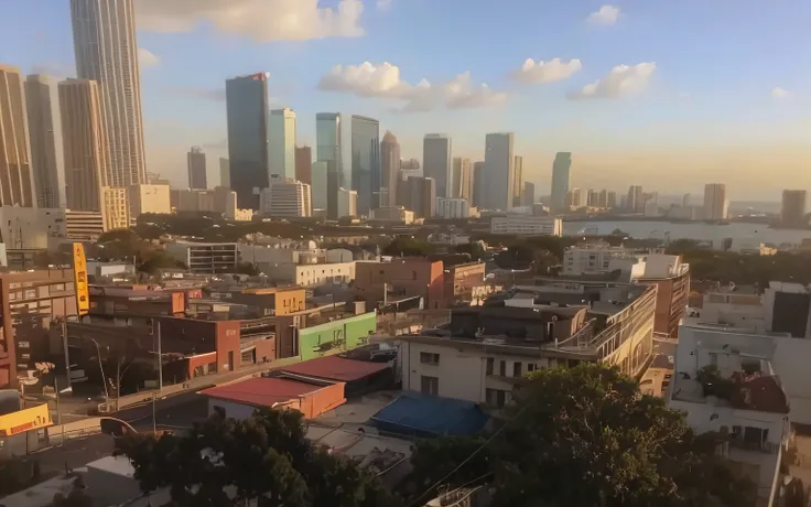 miami, city view, light sunset, trees in the foreground