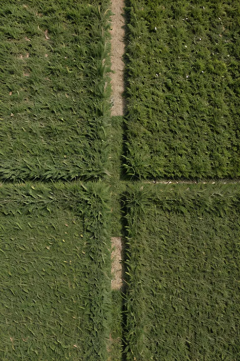 On the green grassland, there is a large square its length and width composed of small squares (with four small squares inside) and a cone in the middle