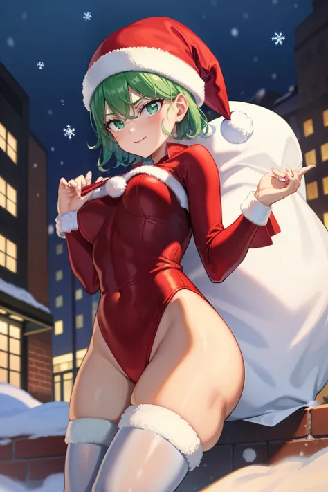 top-quality、Full limbs、complete fingers、Slender beauty、(Detailed ultra-oily shiny skin:1.1)、oily shiny thighhigh、(Perfect bright red Santa Claus leotard:1.3)、((White High Socks))、Wearing a Santa Claus hat、((Wearing a Santa Manto))、Beautiful、A smile、Winter ...