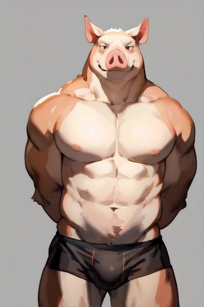 Solo, Furry, Anthro, Pig, Male, E621, Standing, Muscular, Hands behind back, Wearing underwear, Plain background, Front view, Light skin tone, By bebebebebe