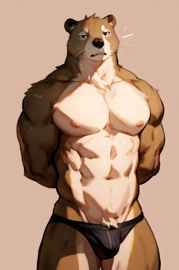 Solo, Furry, Anthro, Beaver, Male, E621, Standing, Muscular, Hands behind back, Wearing underwear, Plain background, Front view, Light skin, By bebebebebe