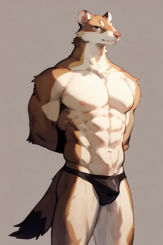 Solo, Furry, Anthro, Weasel, Male, E621, Standing, Muscular, Hands behind back, Wearing underwear, Plain background, Front view, Light skin tone, By bebebebebe