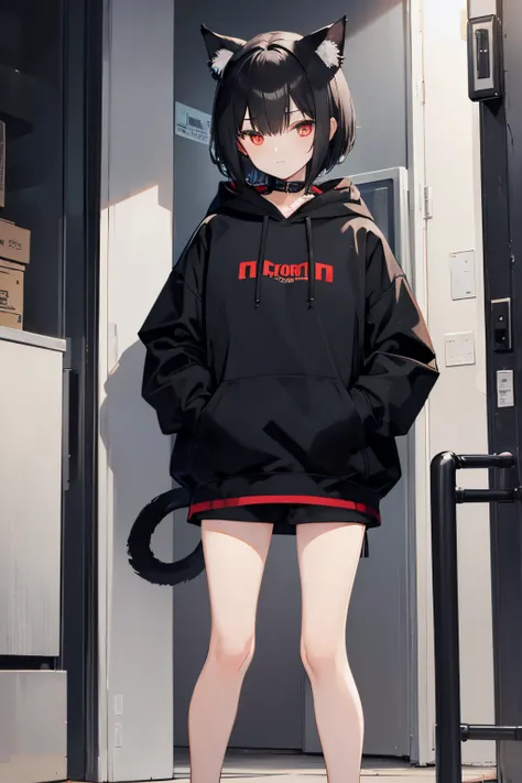 cat ear　short-haired　A dark-haired　Black hoodie　red odd eyes　Vertical standing