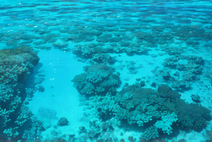 coral sea bottom, Delicate coral seabed, crystal clear blue water, Elegant coral seabed, clear blue water, turquoise water, ocean floor, crystal-clear water, ocean floor, Turquoise ocean, Deep clear swimming pool, shimizu, Caribbean turquoise water, crysta...