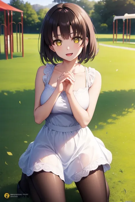 ((full body)), ((full pose)), ((medium BREASTS)), ((happy face:1.4)), ((open mouth)), ((kneeling on grass)), ((playground background)), megumi katou, brown hair, short hair, (yellow eyes:1.5), ((black pantyhose)), (white dress:1.5), BREAK (masterpiece:1.2)...