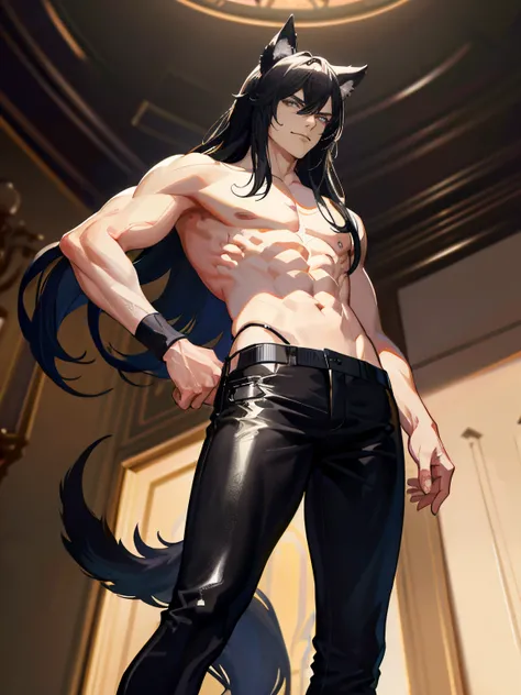 (absurdres, highres, ultra detailed), 1 male, handsome, tall muscular guy, broad shoulders, finely detailed eyes and detailed face, black very long hair, perfect eyes, handsome, fantasy, gothic, wolf ears, wolf tail, city, ((from below)), Fantastic light a...